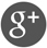 Ratespy Google+ Social Icon